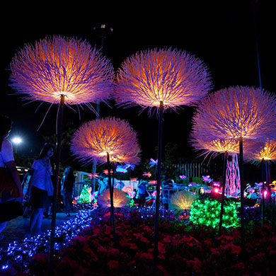 Flights to 치앙 마이