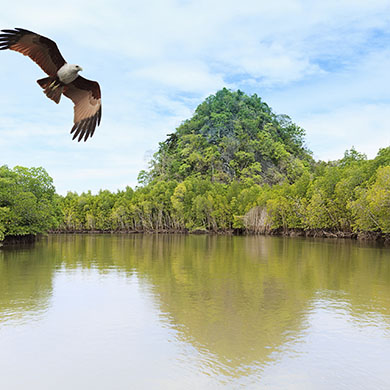 Flights to 랑카위