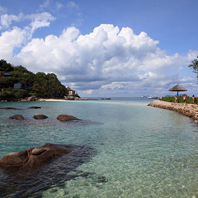 Flights to 素叻他尼